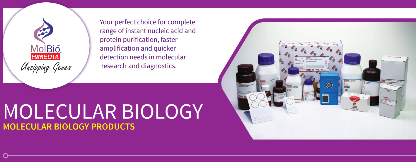 Molecular Biology 01