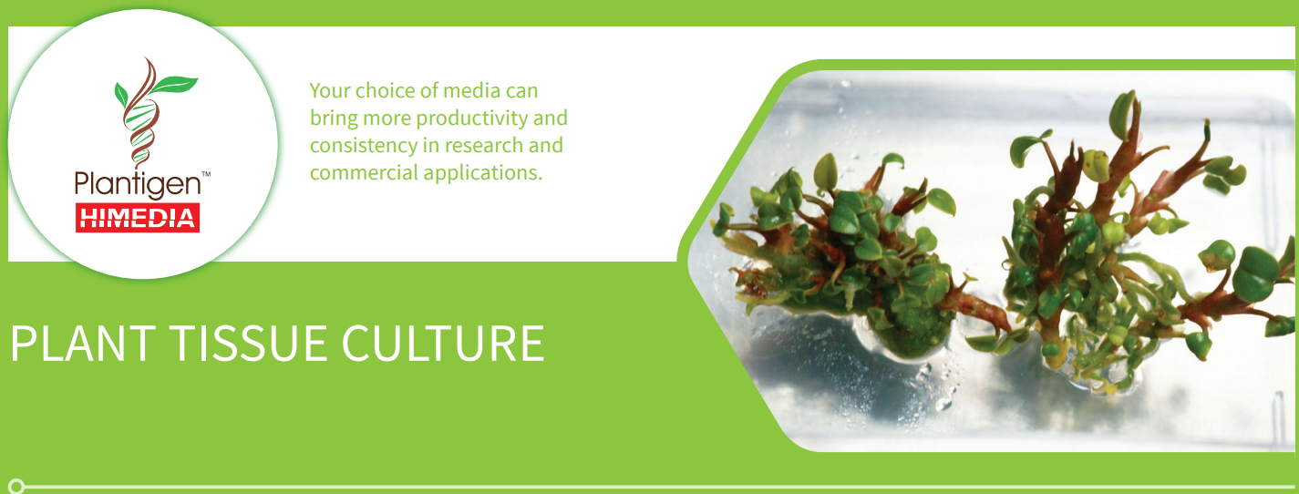 Plant Tissue Culture 01